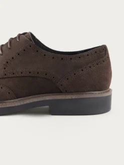 BLUCHER PICADO MARRÓN