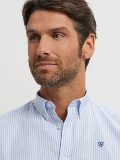 CAMISA OXFORD RAYAS BASIC CELESTE