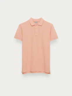 POLO SCOOBY SALMÓN